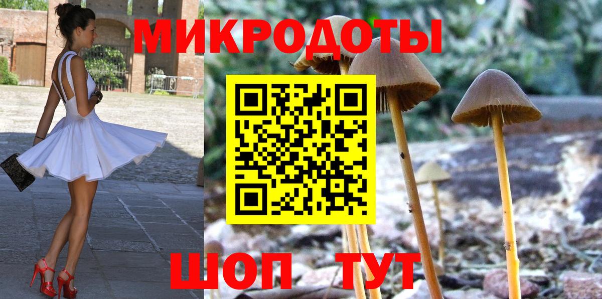 Псилоцибиновые грибы прущие грибы  Вход с VPN  Тамбов 